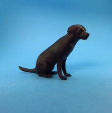 sitzender Labrador schwarz