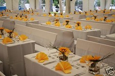 Hussen 80cm Bierzeltgarnitur mit Rückenlehne Anthrazit, Exklusiv- Serie