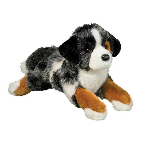 Maizie australian shepherd - maizie,