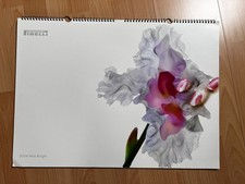 PIRELLI Kalender aus dem Jahr