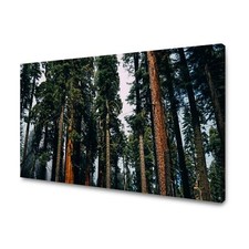 Leinwand-Bilder: Natur - Wald, Gehölz, Größe: 40x30 cm bis 120x80 cm