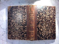 Elemente der Geologie Credner