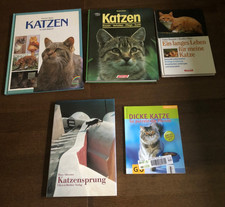 Buchsammlung Katzen Bücher