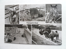AK Aue Erzgebirge Tierpark Ziege Waschbär Uhu Eule StachelschweinKamel 1985 Zoo