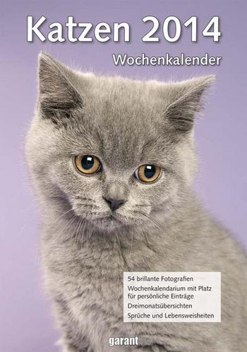 Wochenkalender katzen 2014 - katzen,