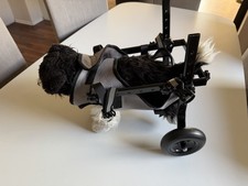 Rollstuhl / Reha-Wagen für