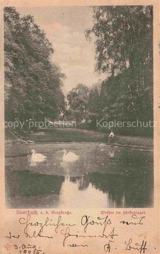 Auerbach deggendorf - auerbach,