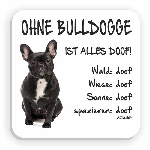 Kühlschrankmagnet ohne - kühlschrankmagnet, "ohne