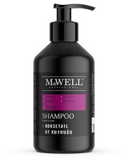 Pferdeschwanz Schachtelhalm