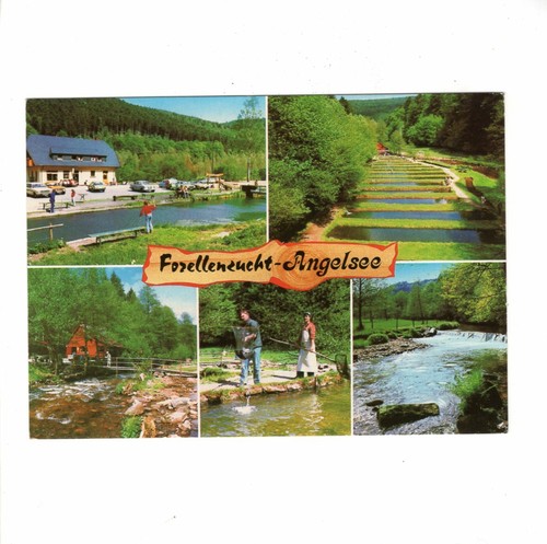 Ansichtskarte neuenbürg - neuenbürg, /