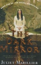 The Dark Mirror Hardcover
