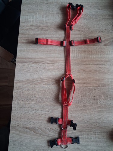 Sicherheits brustgeschirr rot - sicherheits-brustgeschirr,