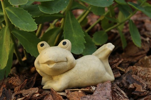 Frosch kuss kussfrosch - kuss,
