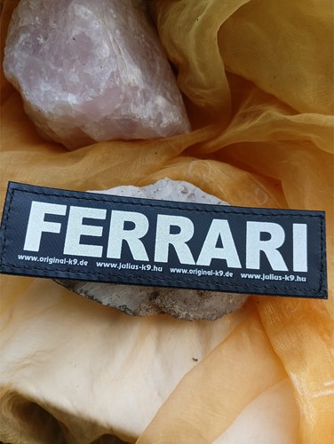 Ferrari klettlogo 3 cm - k9, x