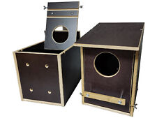 Waldkauz Eule Eulennistkasten