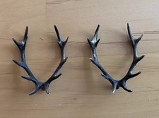 Geweihe für Kuckucksuhr, Kunststoff, Braun