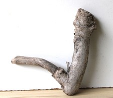Treibholz Schwemmholz Driftwood  1 Wurzel Dekoration Terrarium 29 cm *64*