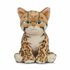 Bengal Katze Kätzchen