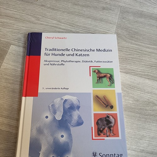 Traditionelle chinesische - traditionelle,