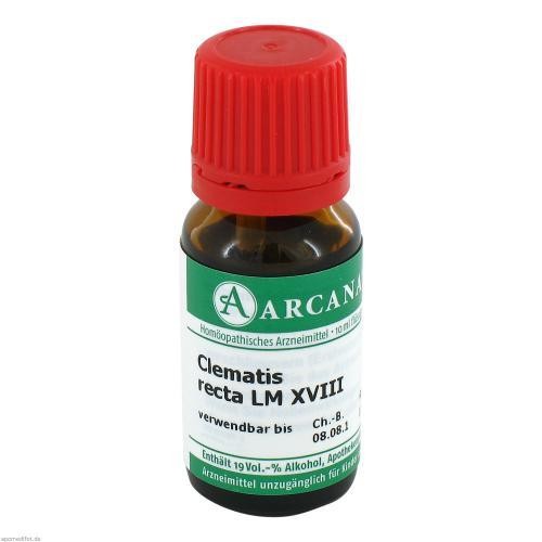Clematis recta dilution - clematis,
