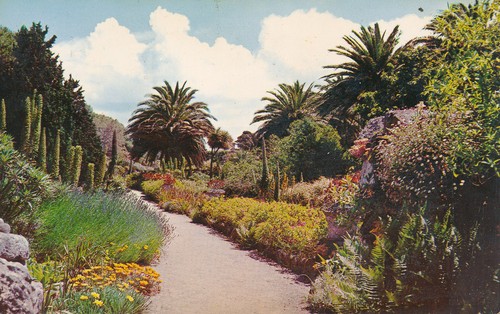 Pc68305 tresco gardens - pc68305,