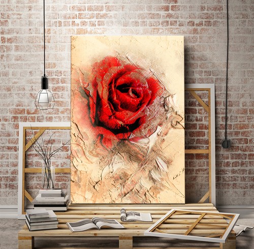 Leinwand bild red rose - rose, xxl