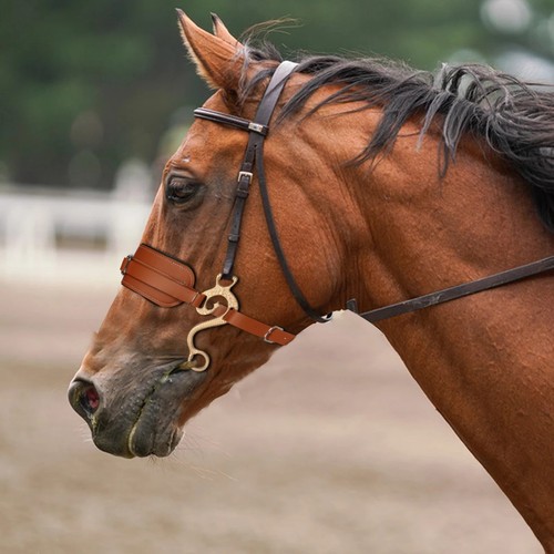 Pferd hackamore gebisslose - hackamore,