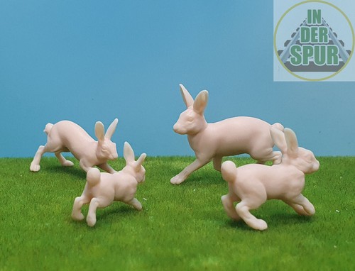 Der spur feldhasen hasen - in,
