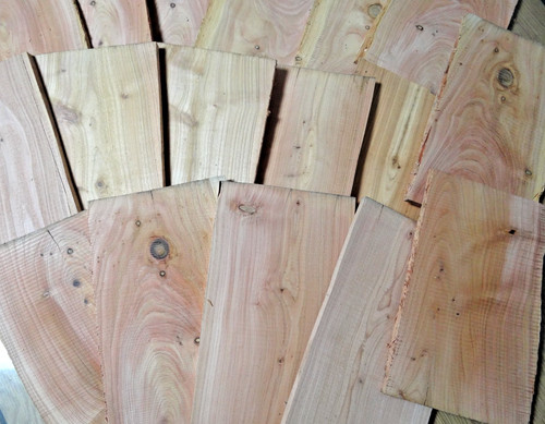 Thuja lebensbaum holz - thuja, brett