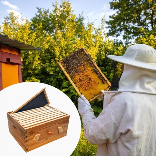 Bienenbeute rähmchen - bienenbeute, 10-rähmchen
