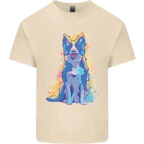 Ein buntes border collie hund - ein,