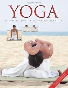 Yoga das große - große, praxisbuch