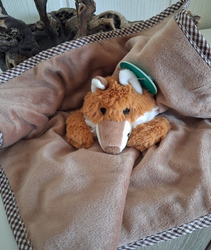 Baby kuscheltuch mit - baby,