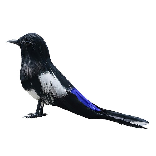 Simulation vogel bunte en - vogel,