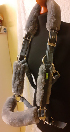 Plüsch halfter equestrian - plüsch,