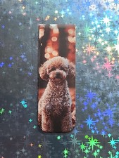 ZWERG - PUDEL -- MAGNETISCHES