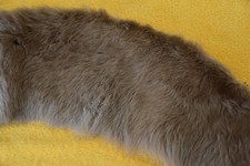 Lammfell Kragen echtes Pelz