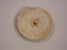 Schwimmer Styropor für