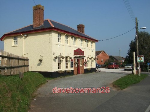 Foto the royal oak - royal, 2011