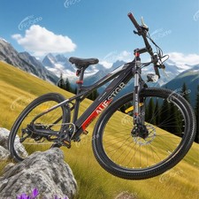 29 Zoll Elektrofahrrad 250W