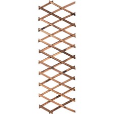 Rankgitter Kletterpflanzen