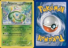 Card Pokemon 2012-CONFINI