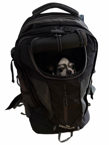 Petmont rucksack schwarz - rucksack, in