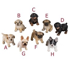 Hundewelpen Labrador Rottweiler Retromops o. Bulldogge formano 768889 Haustier