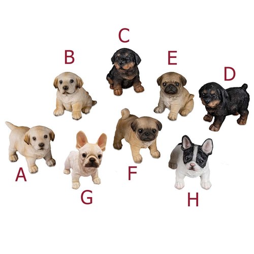 Hundewelpen labrador - hundewelpen,
