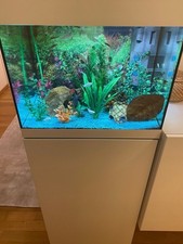 Aquarium 60l