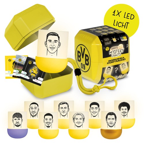Eggys mystery lights - eggys, x