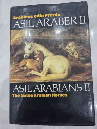 Asil araber - asil, arabians