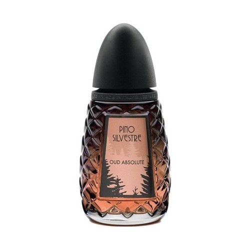 Pino silvestre oud absolute - silvestre,