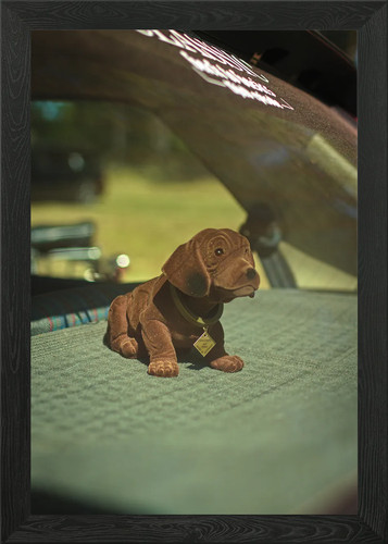 Braun plüsch hund - hund, auto